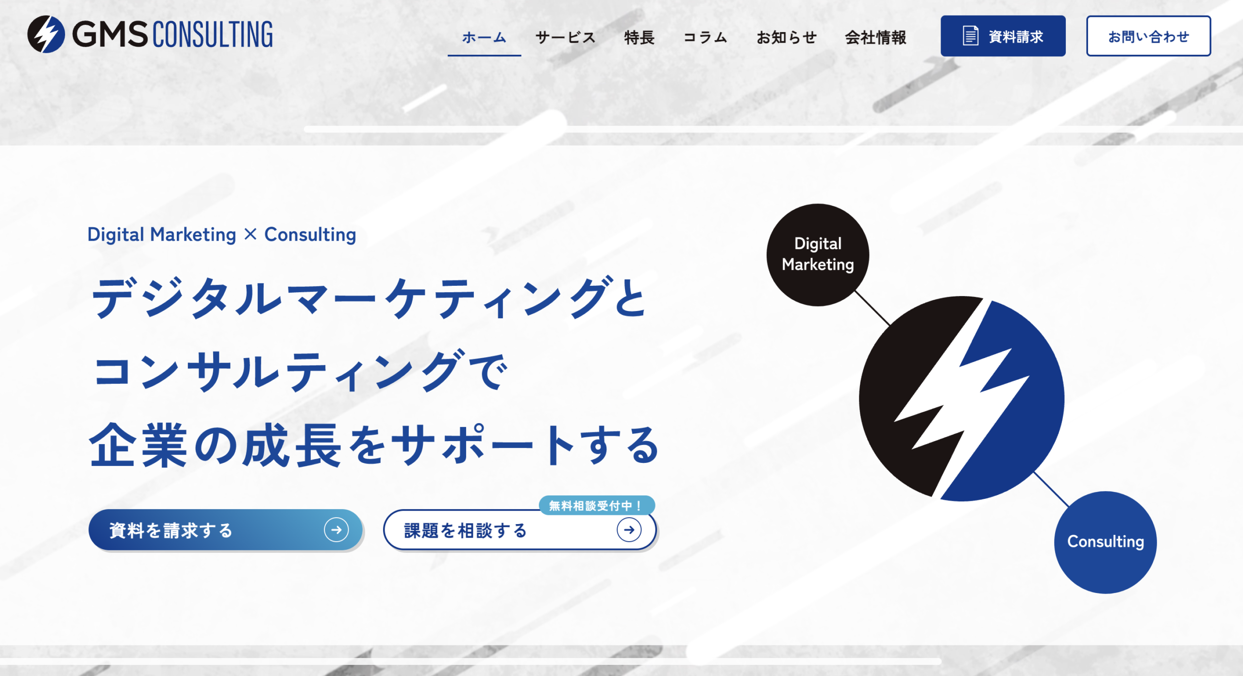 株式会社GMSコンサルティング